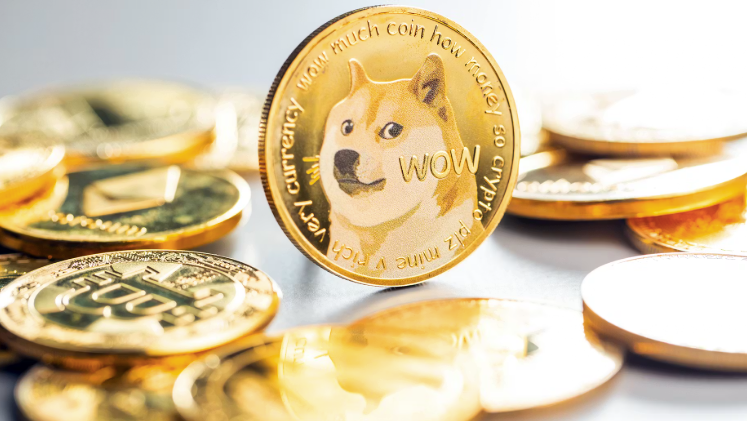 Meme Coins Explained: Risk or Opportunity